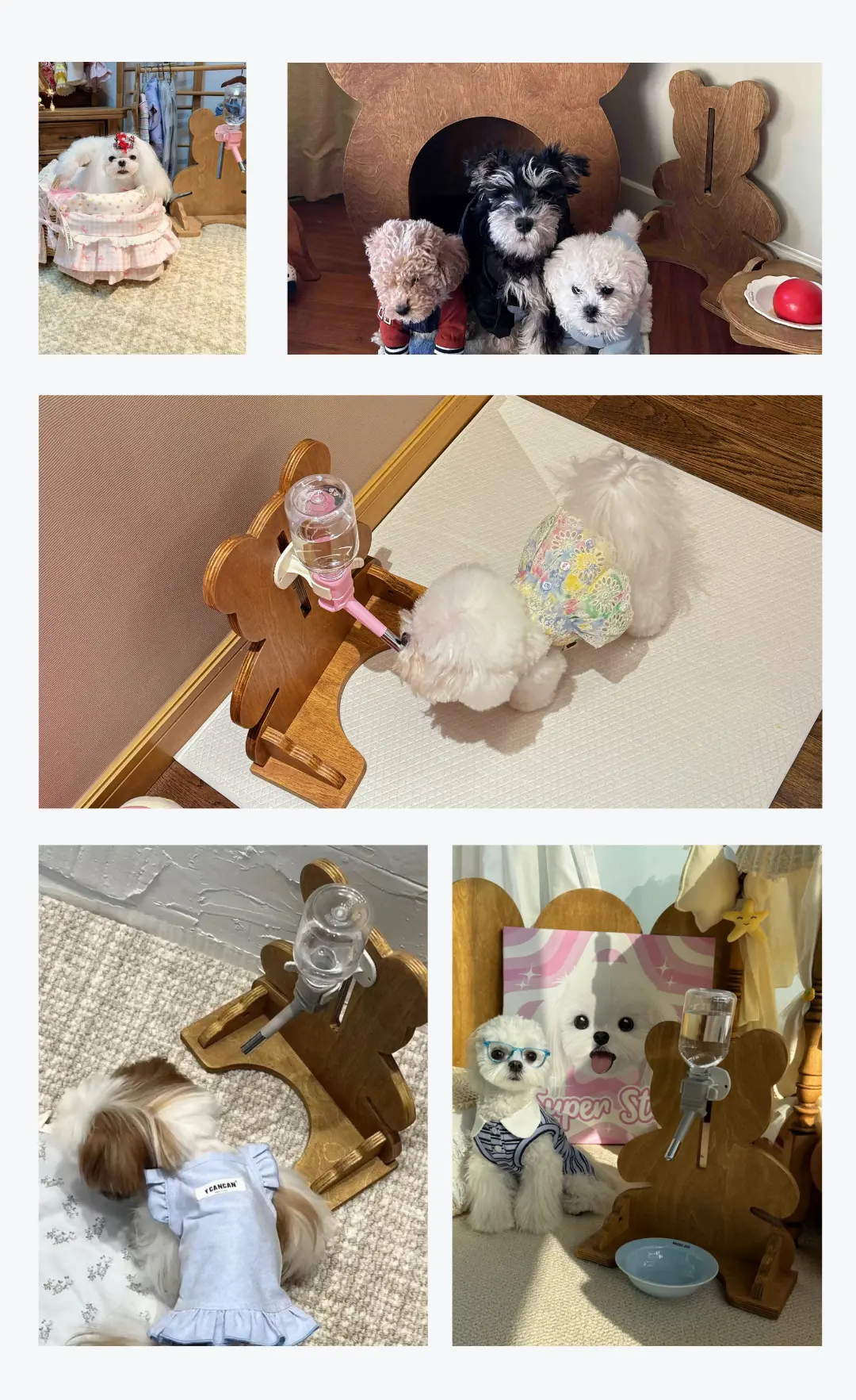 wooden pet water bowl stand in a customer's home - Bear Pet Water Bottle Stand